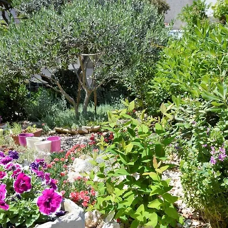 Apartamento Beautiful Sea-view In Croatia *